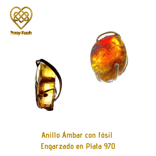 anillos-ambar-baay